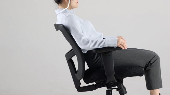 Friant: Zone Too Task Chair